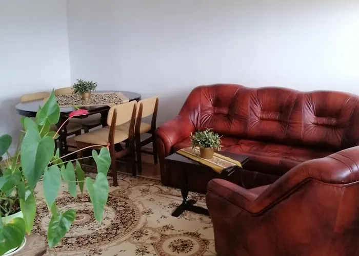 Wygodny I Funkcjonalny Lägenhet